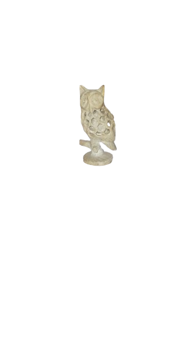 “RuralArtisan JaliWork Stone Owl from Varanasi”